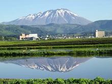 Haruyuki Kurei