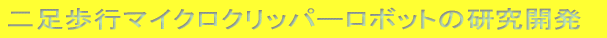 񑫕s}CNNbp[{bǧJ